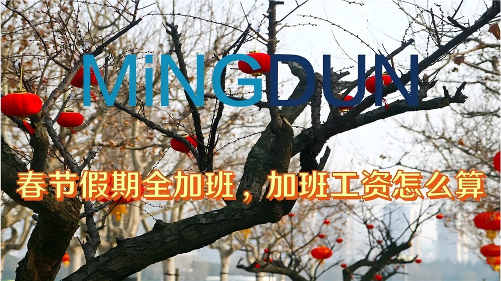 喜大普奔：2025年起，法定节假日增加两天。   问题来了：春节假期全加班，加班工资怎么算？