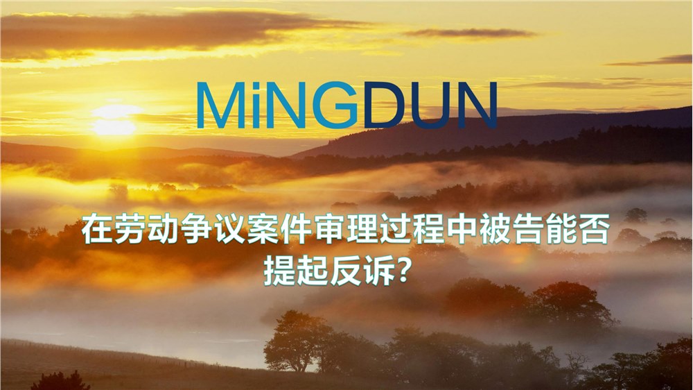 在劳动争议案件审理过程中被告能否提起反诉？