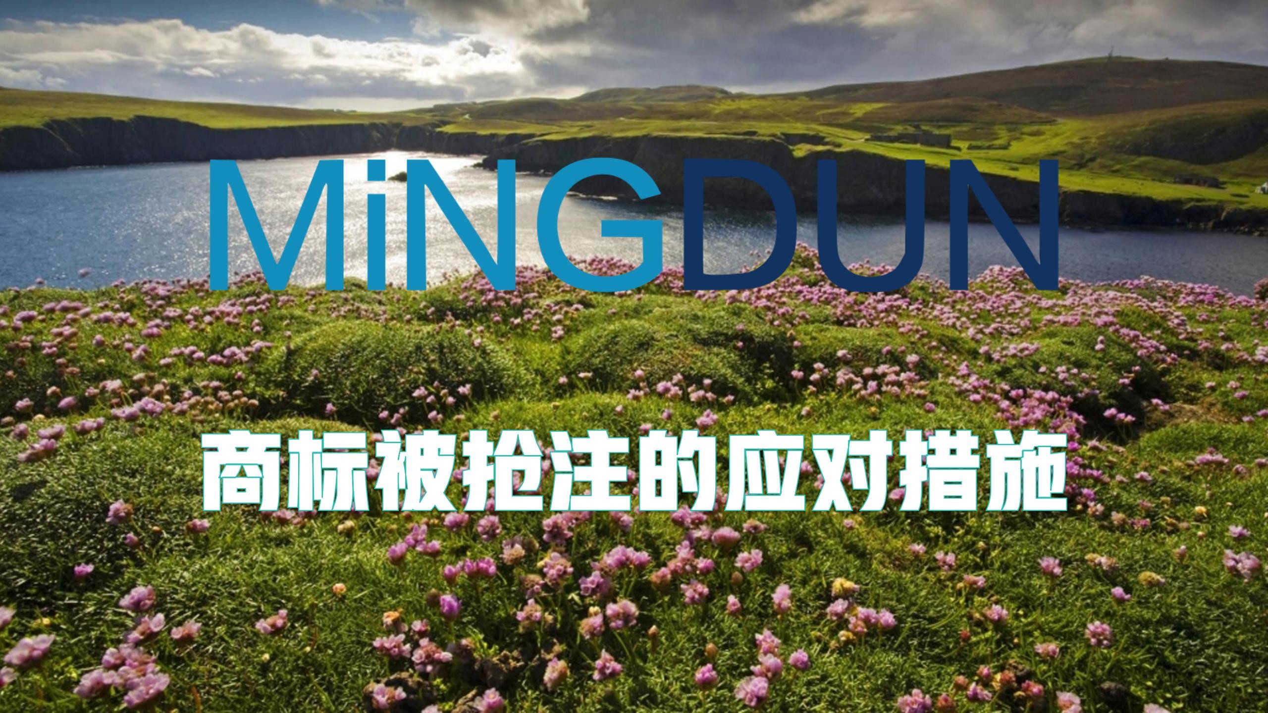 商标被抢注的应对措施