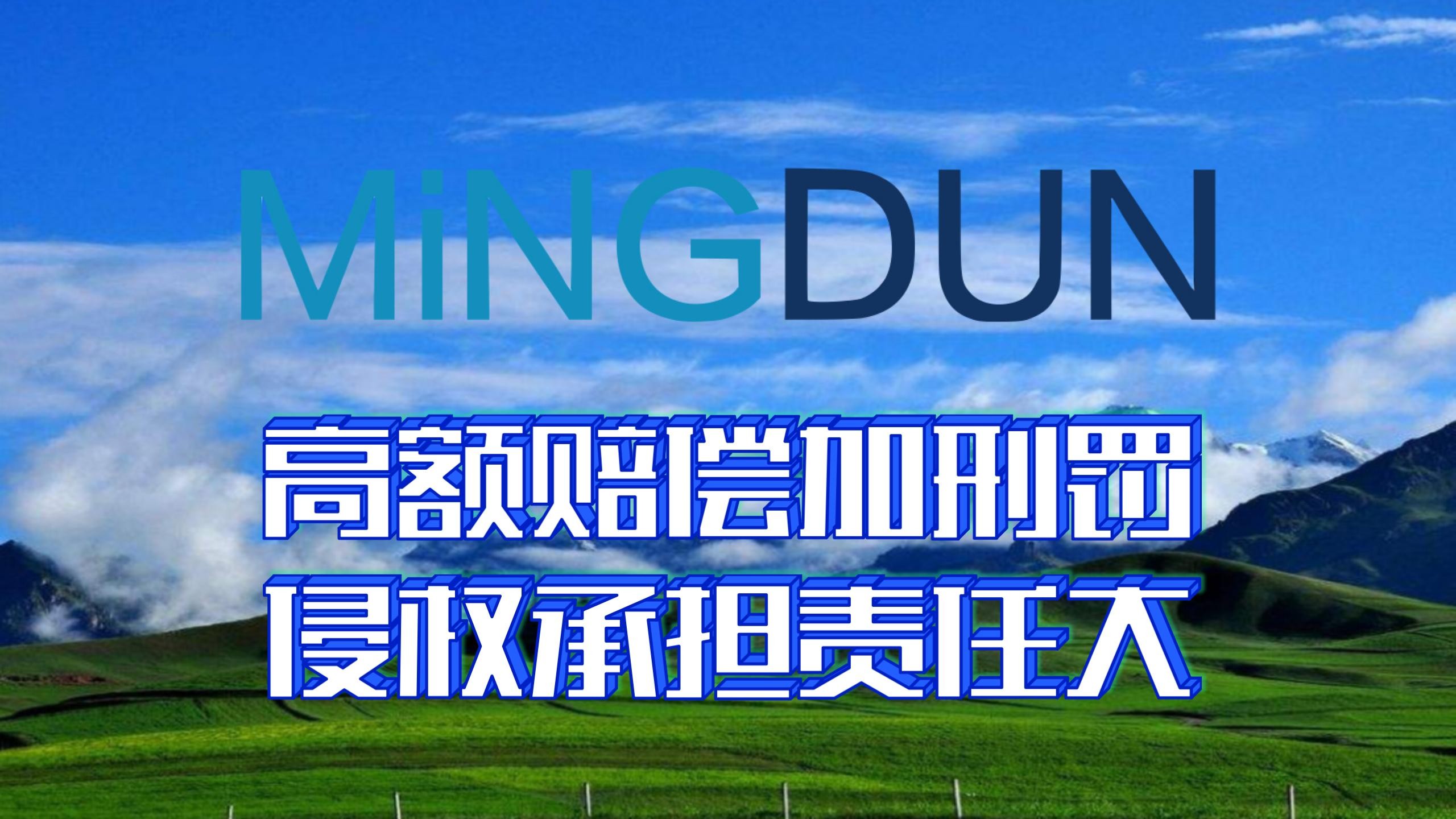 高额赔偿加刑罚，侵权承担责任大