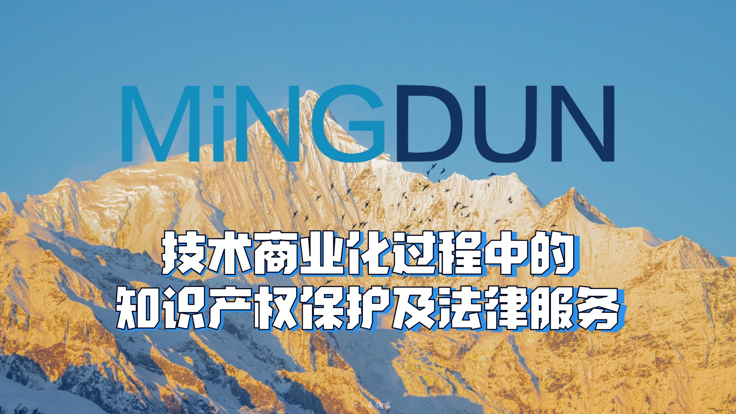 技术商业化过程中的知识产权保护及法律服务