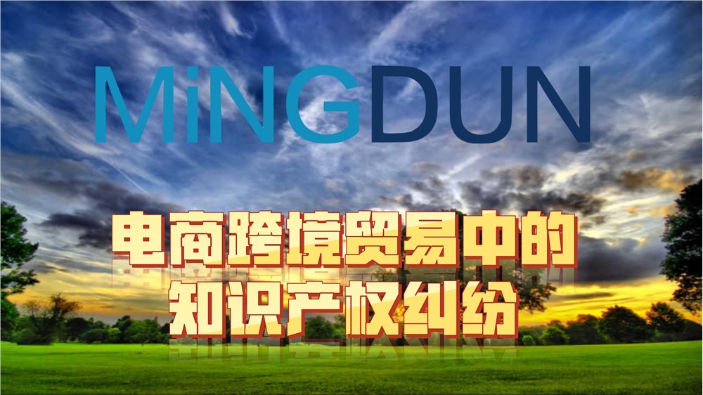 电商跨境贸易中的知识产权纠纷