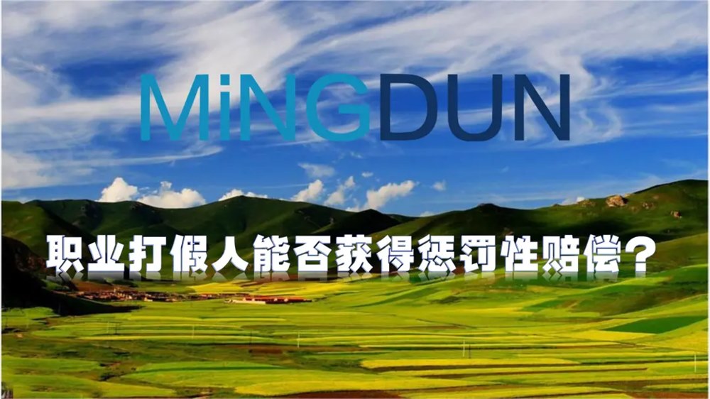 职业打假人能否获得惩罚性赔偿？